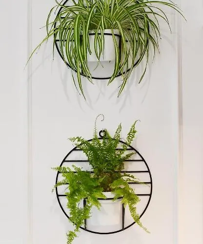 Navigator Spa-baseny-nadmorskie Tarasy